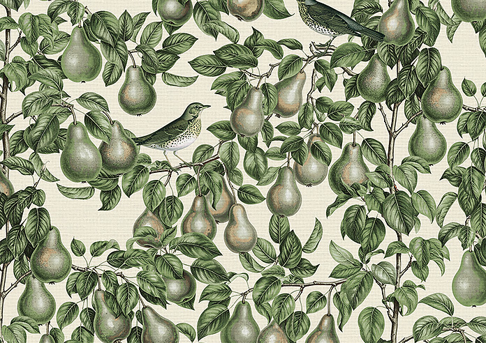 Pears, Coriscon - Roman Blind - Image 7